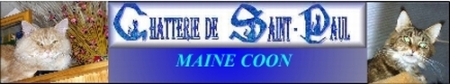 Chatterie de Saint Paule Maine Coons